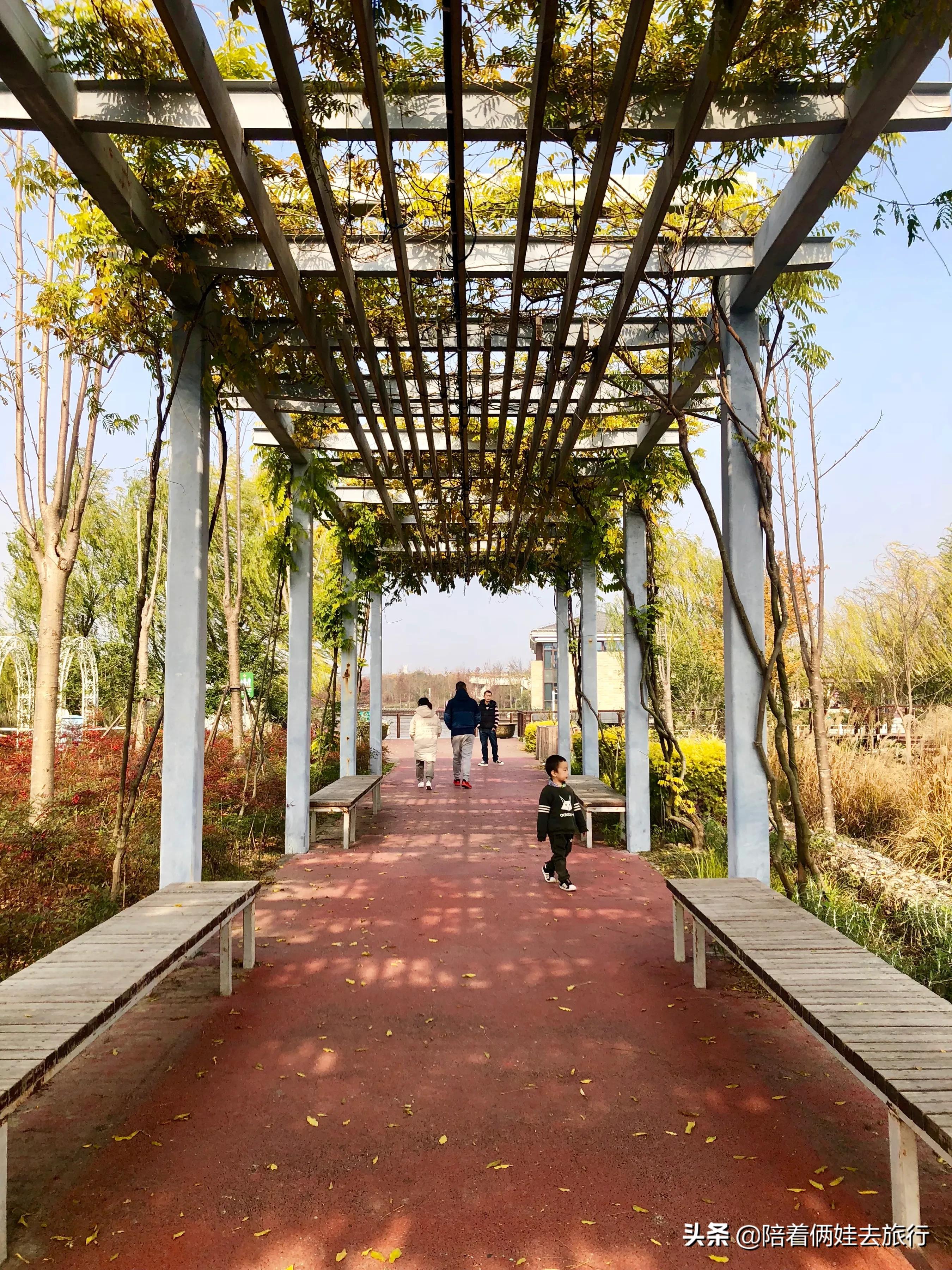 上海浦江郊野公园一日游攻略大全,上海浦江郊野公园奇迹花园地图