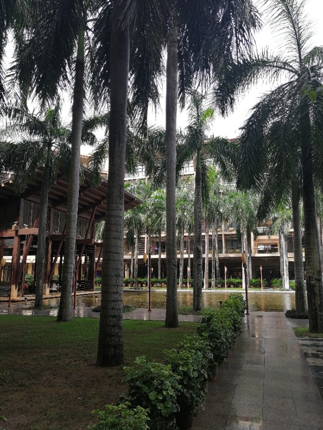 三亚亚龙湾红树林酒店接机,三亚湾亚龙湾红树林酒店