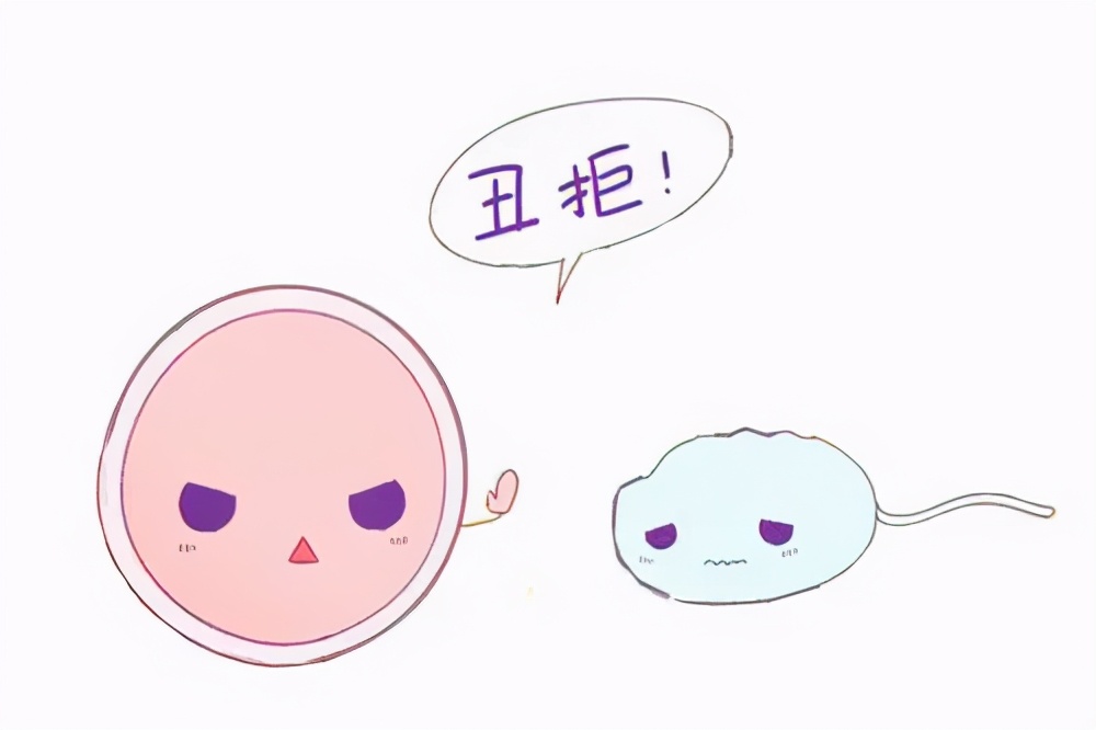 胎停育有没有可能与男的有关,胎停育是男的不育症吗