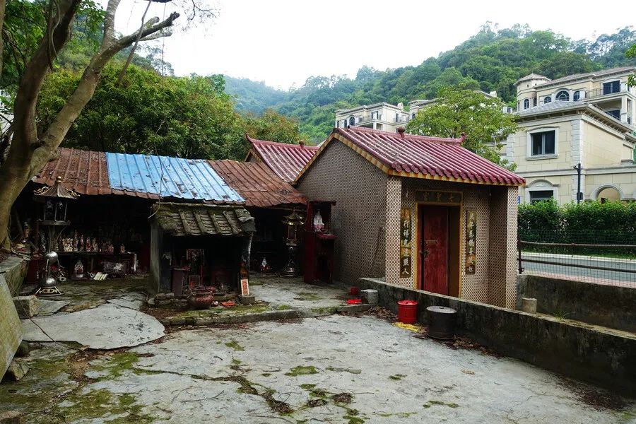 陈福荣深圳,陈福民深圳