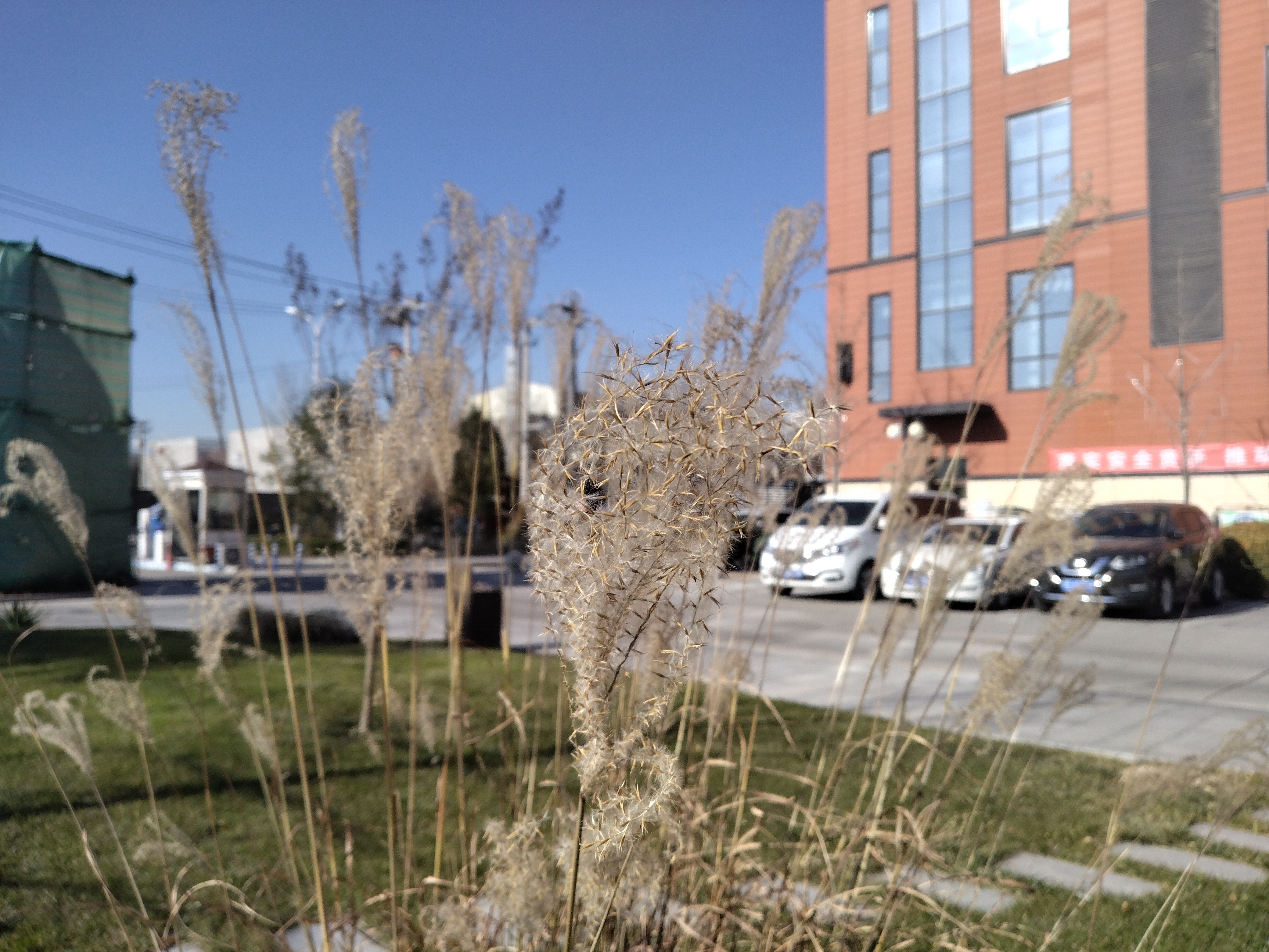 联通u-magic优畅享30e拆机,u-magic优畅享20plus5g