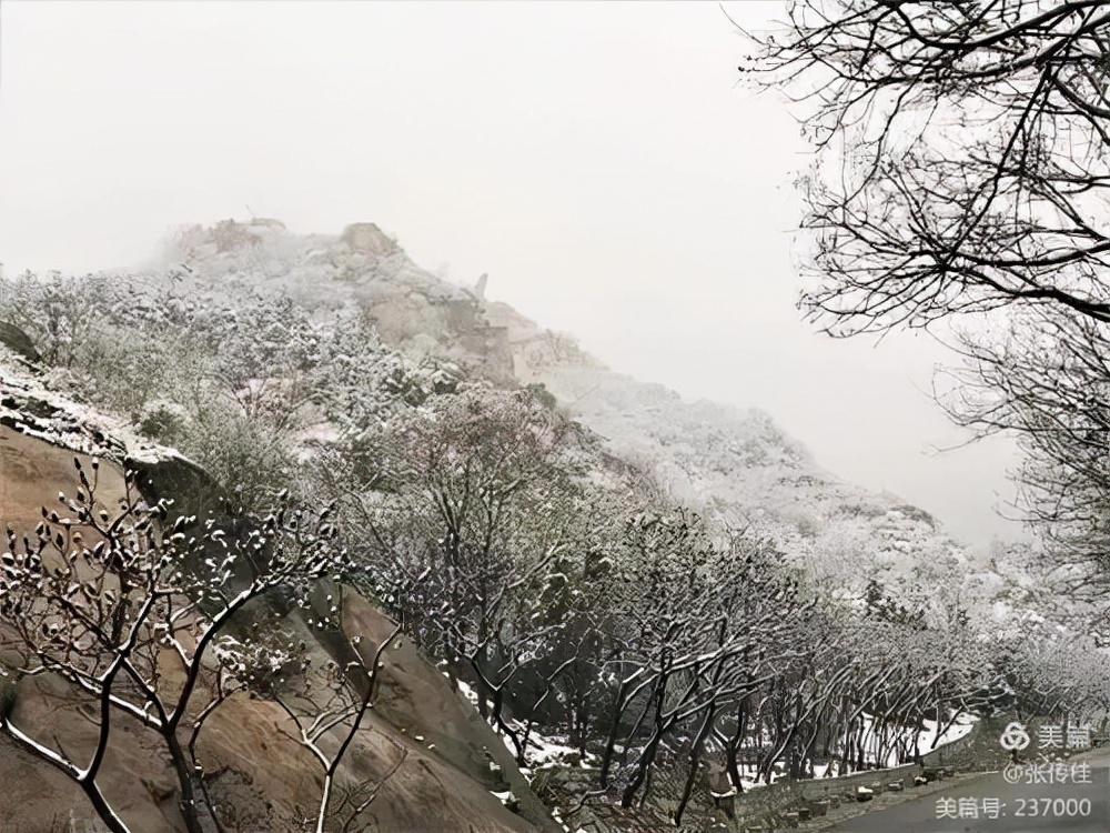 夜爬凤凰岭,雪落鸡冠山
