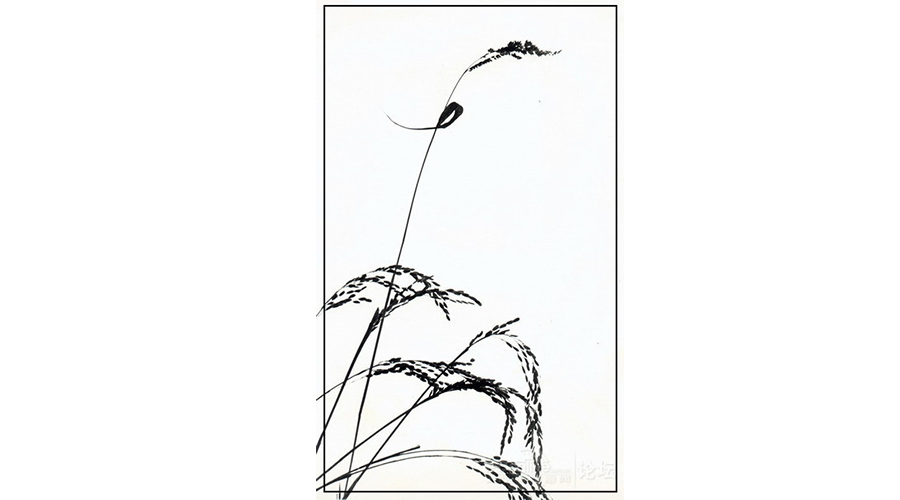 构图决定一切阅读感悟怎么写,构图决定一切史林平