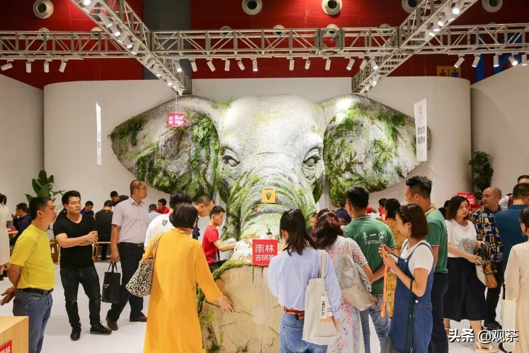 茶界创新还要看雨林