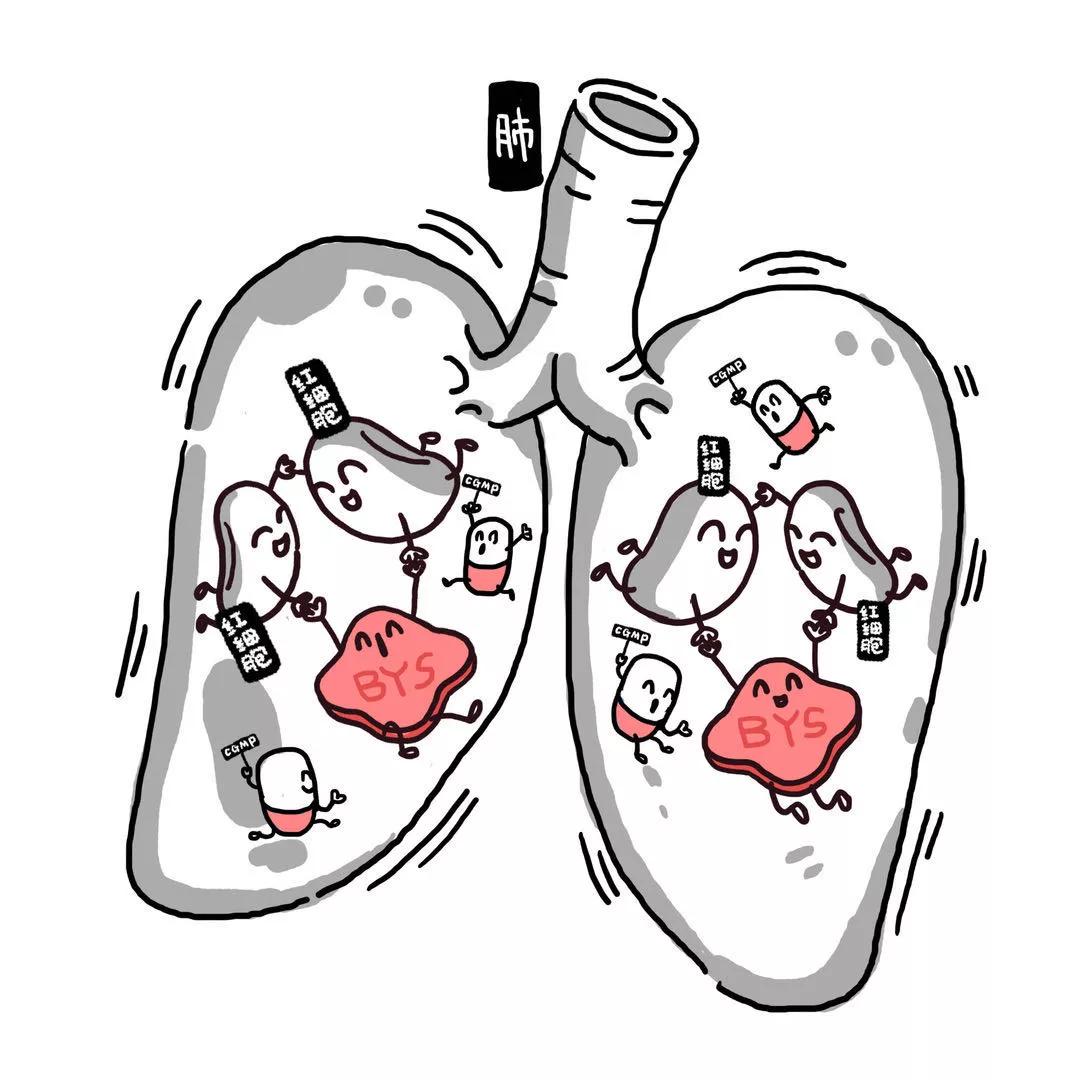 金戈，已经不仅是男士们的伟哥了，它还能治疗癌症？
