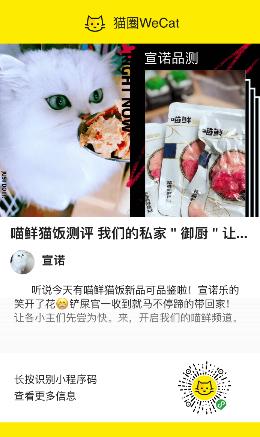 粉丝众测+口碑传播，猫来了如何为品牌赋能？