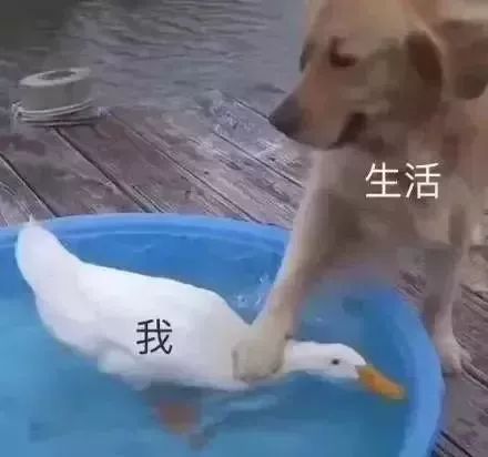 昆山这边工资标准最新,昆山基本平均工资