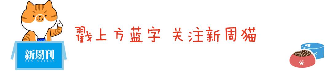 最近很火的一只猫的表情包,用了仓鼠猫表情包的人