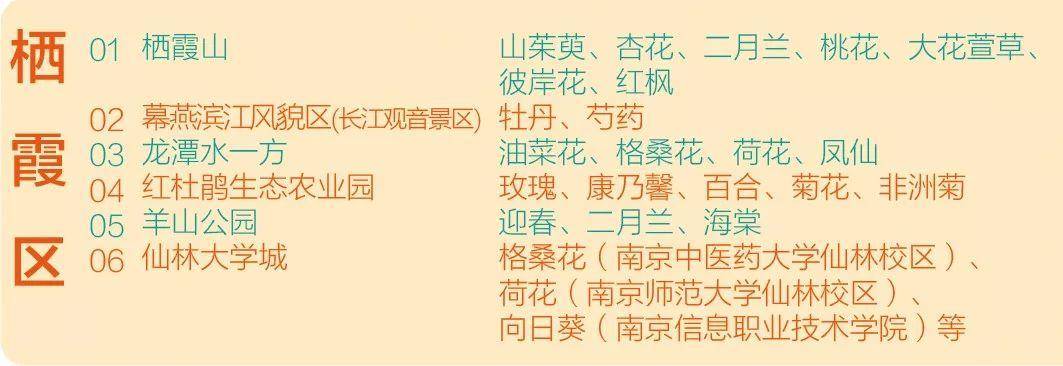 南京惊艳你的地方,南京最新名片