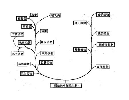 达尔文的生物进化学说的意义,达尔文在物种起源中提出生物进化