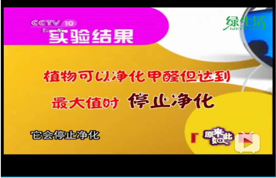 除甲醛最好最快的方法央视,新车去除甲醛最快最好的方法