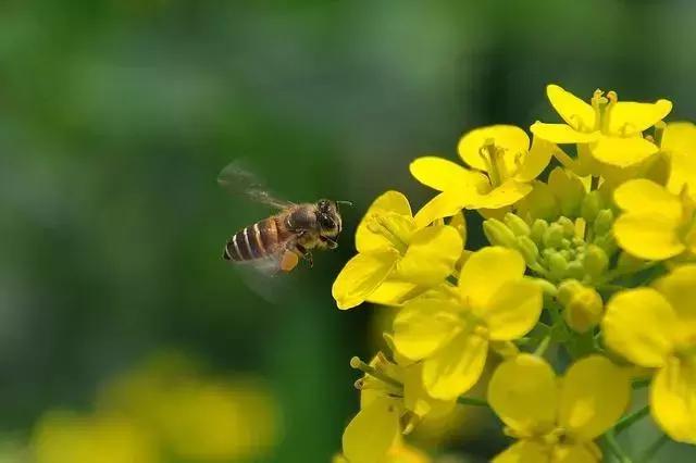义务兵野外驻训需要带什么,野外训练兵哥哥都干什么