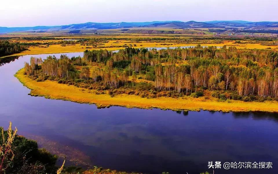 来黑龙江旅游的你都吃了啥,来哈尔滨旅游怎么点菜