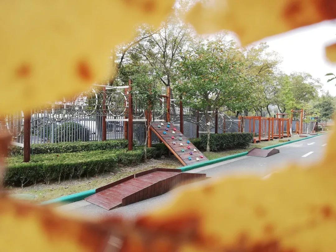 【秋色】一起逛青浦的校园，在书香中邂逅最美的秋