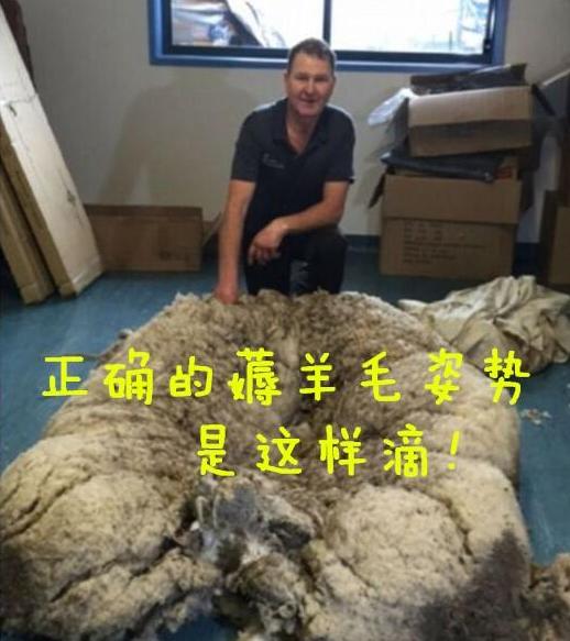 咪咕kindle0元享返现到哪里,kindle咪咕版0元购参加资格