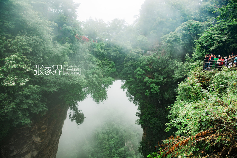 张家界离凤凰古城多远,张家界凤凰古城和湘西凤凰古城