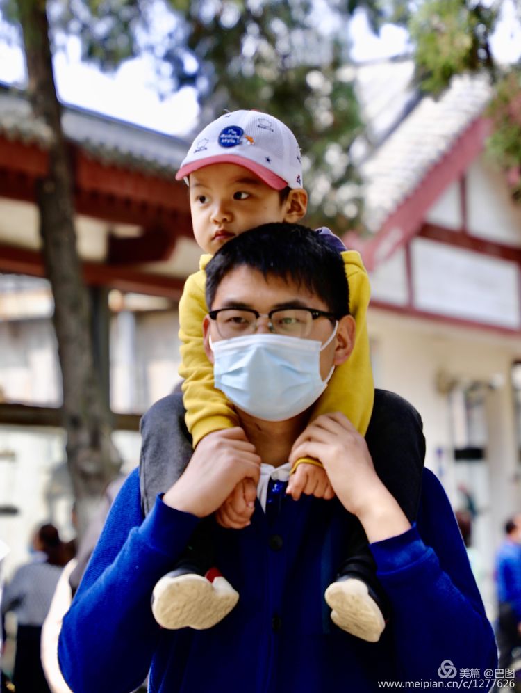 看洛阳牡丹花卉节,洛阳古都牡丹花展
