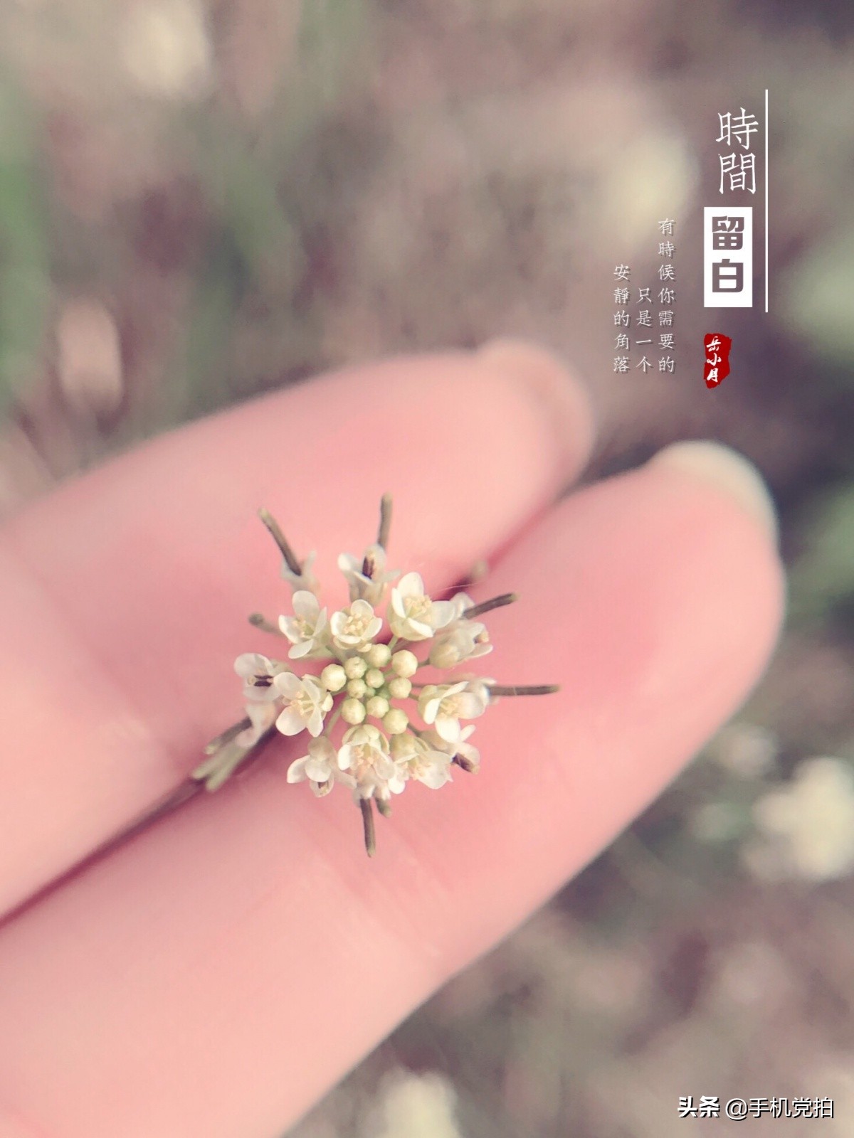 生活小妙招手机摄影,生活小妙招如何拍出爆款