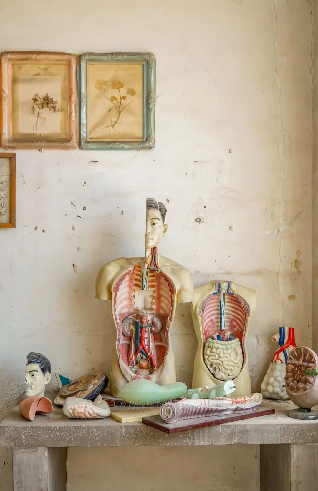 东北大妞拍废墟,东北大妞年轻照片