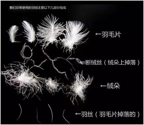 在淘宝上怎么选羽绒服,怎么在淘宝上买到质量好的羽绒服