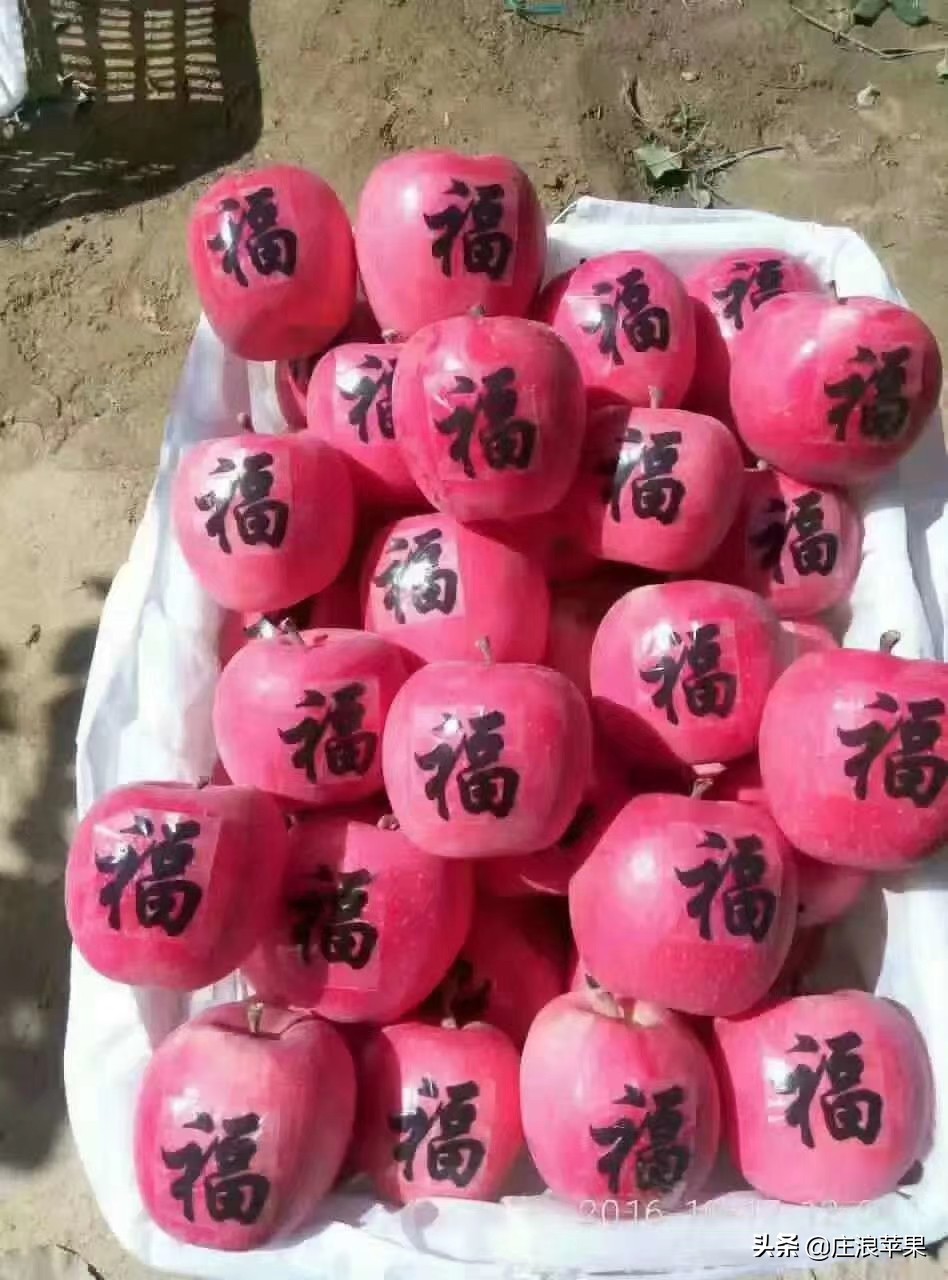 苹果霉心病雨后防治和雨前防治,高温高湿要防苹果早期落叶病