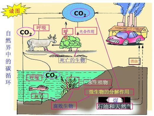 初中化学我们周围的空气,初中化学上册我们周围的空气专题