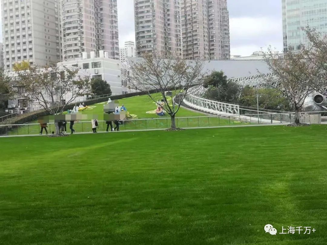 住在上海市的真实感受,住在上海的基本常识