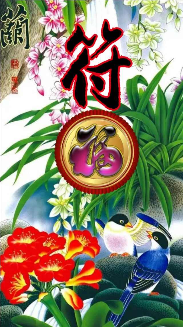 精美兰花壁纸图,兰花高贵壁纸