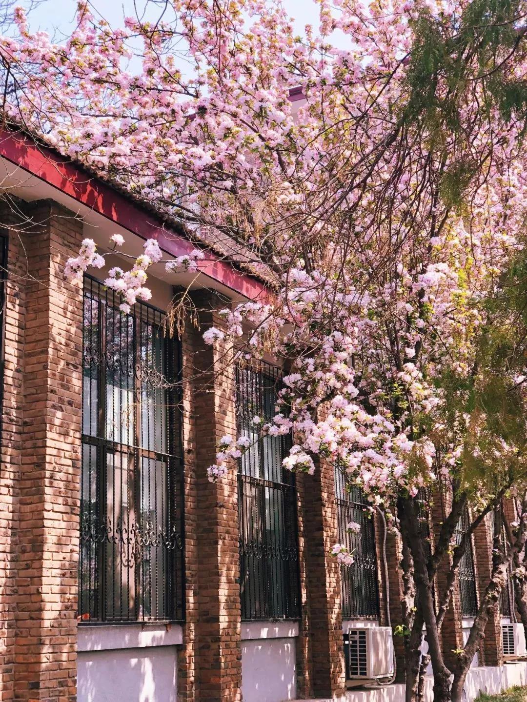 戴口罩的春节,戴口罩的冬天过去了