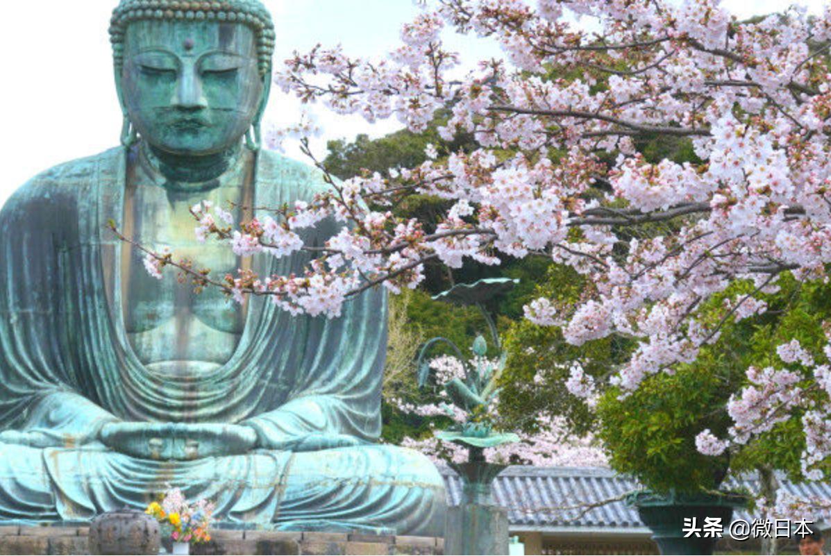 镰仓必去的景点,日本镰仓景点线路图