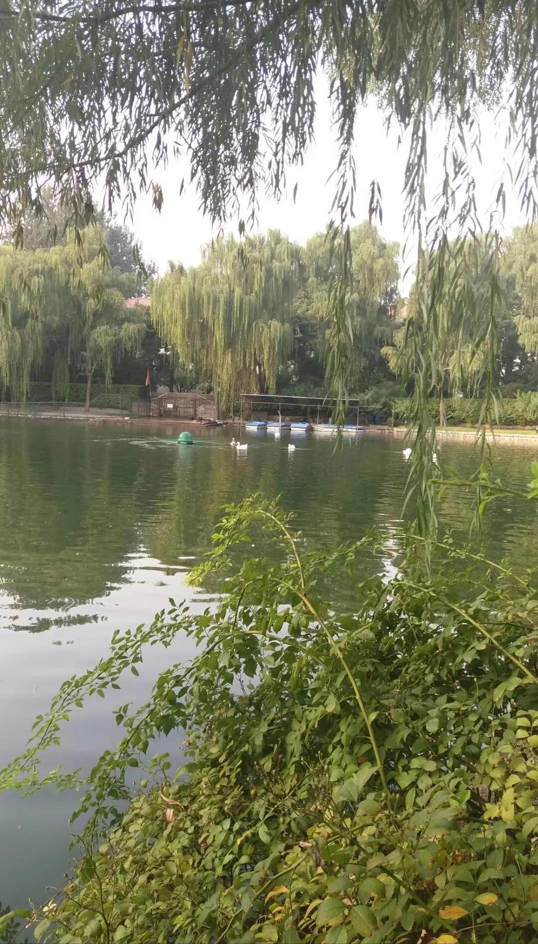 北京钓鱼台国宾馆：是中国国家领导人进行外事活动的重要场所