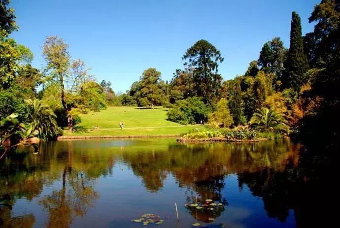 悉尼有多迷人,悉尼为什么是澳洲最宜居城市