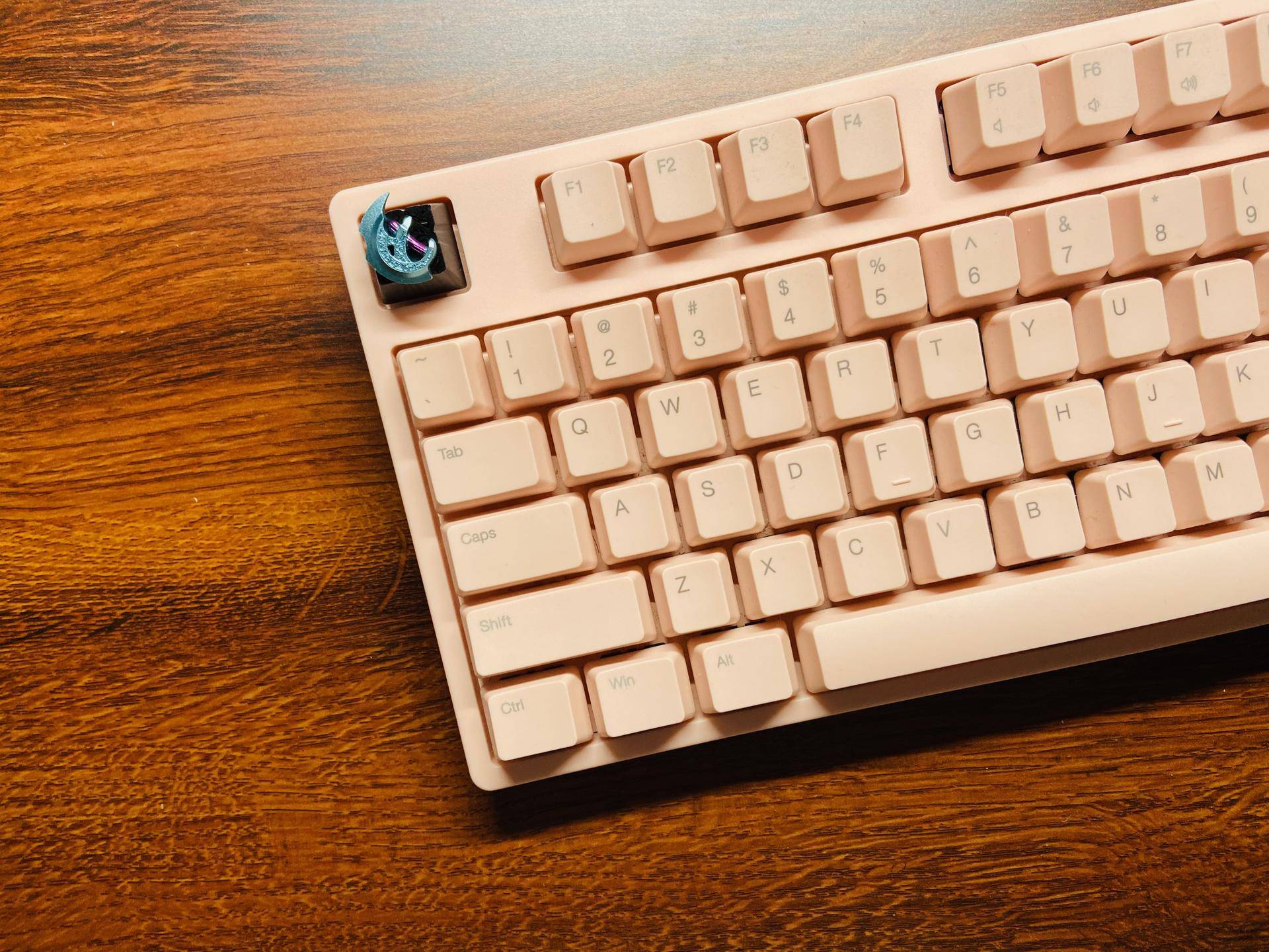 生产力?爱奇艺?当然是全都要。个人外出清单全揭秘