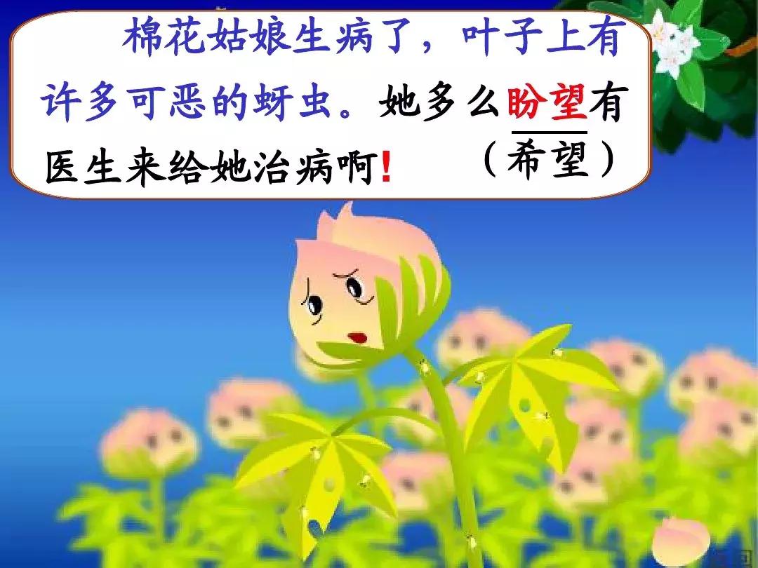 一年级下册语文19课棉花姑娘,一年级棉花姑娘课文笔记