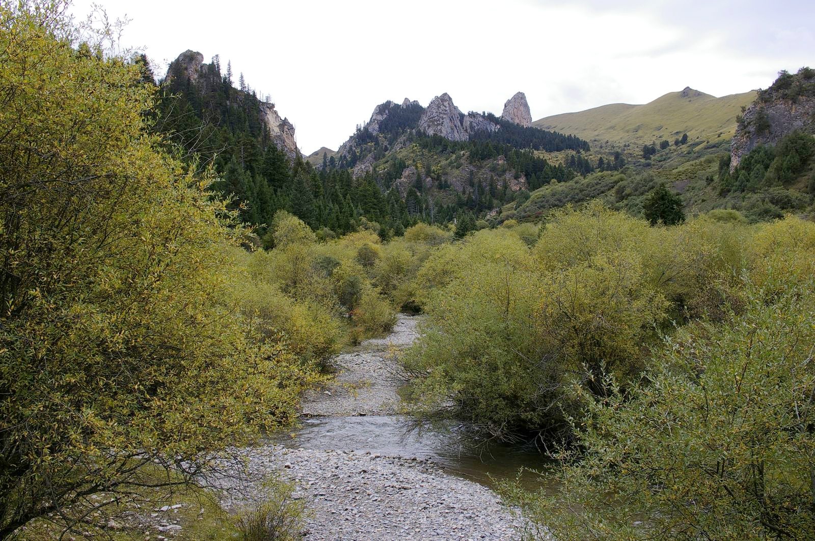 甘南则岔石林有什么好玩的地方,甘南碌曲则岔石林