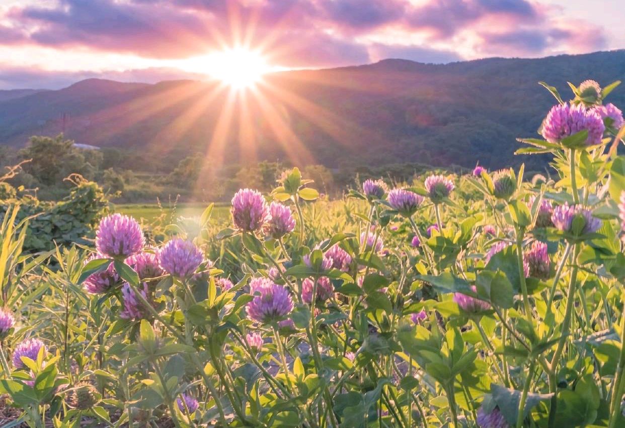 心态崩了该怎么调整,贷款心态崩了怎么调整心态