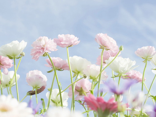 人生感悟一段很现实的话,人生感悟文案