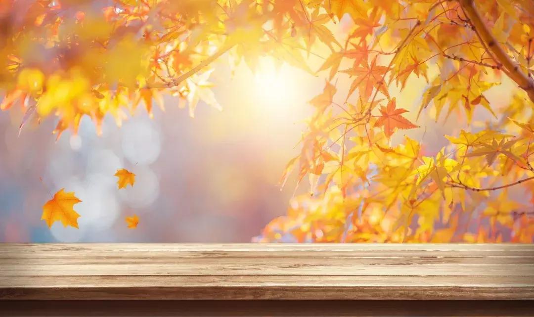 今日立秋应景诵读古诗一首,今日立秋诗词里的秋天