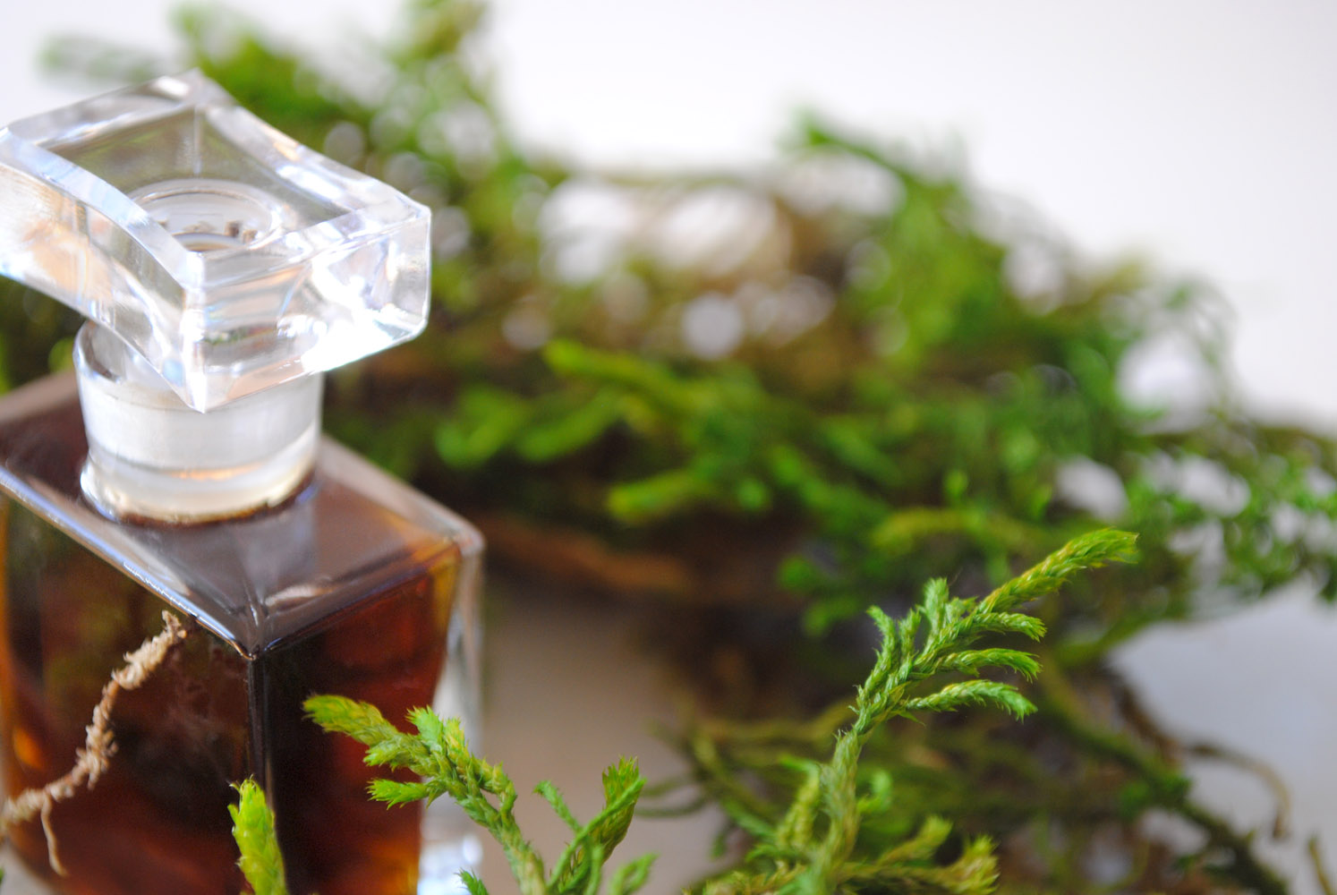 香水全攻略5分钟教你学会选香水,干货建议怎么穿才能get高级感