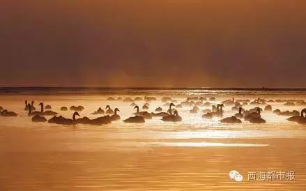 满福青海,青海人的冬天怎么过
