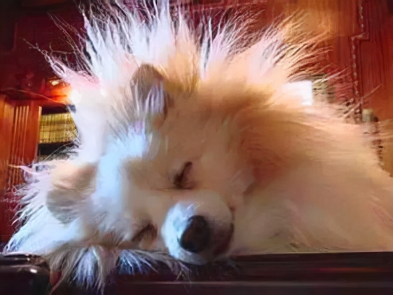 冬季衣服静电如何消除,小孩经常被静电电到是怎么回事