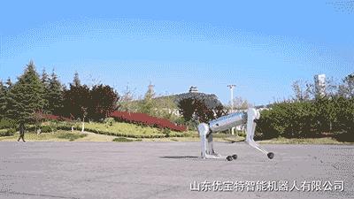 1万8元秋田犬出售,最新一代机器狗