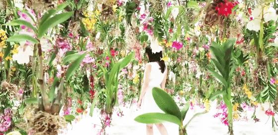 自然系艺术家的快乐很简单