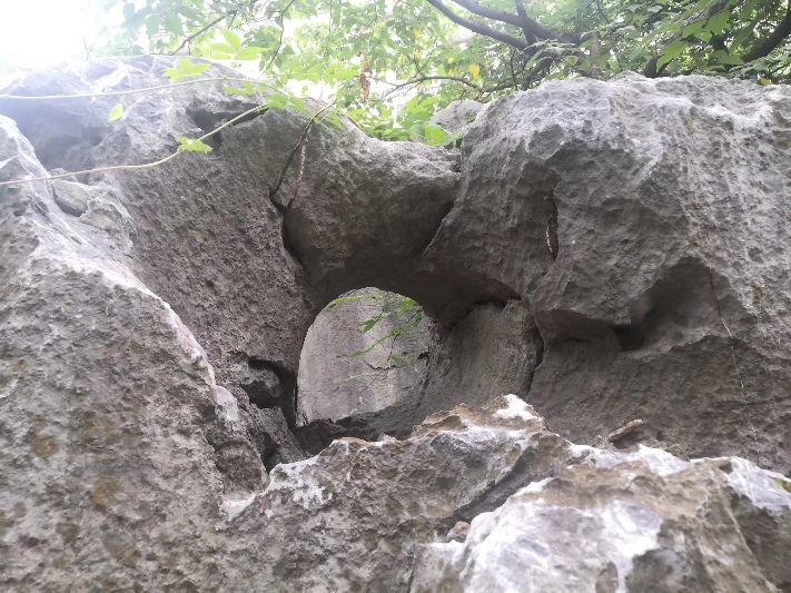 江山烟里面有药材吗,江山烟系列有哪些