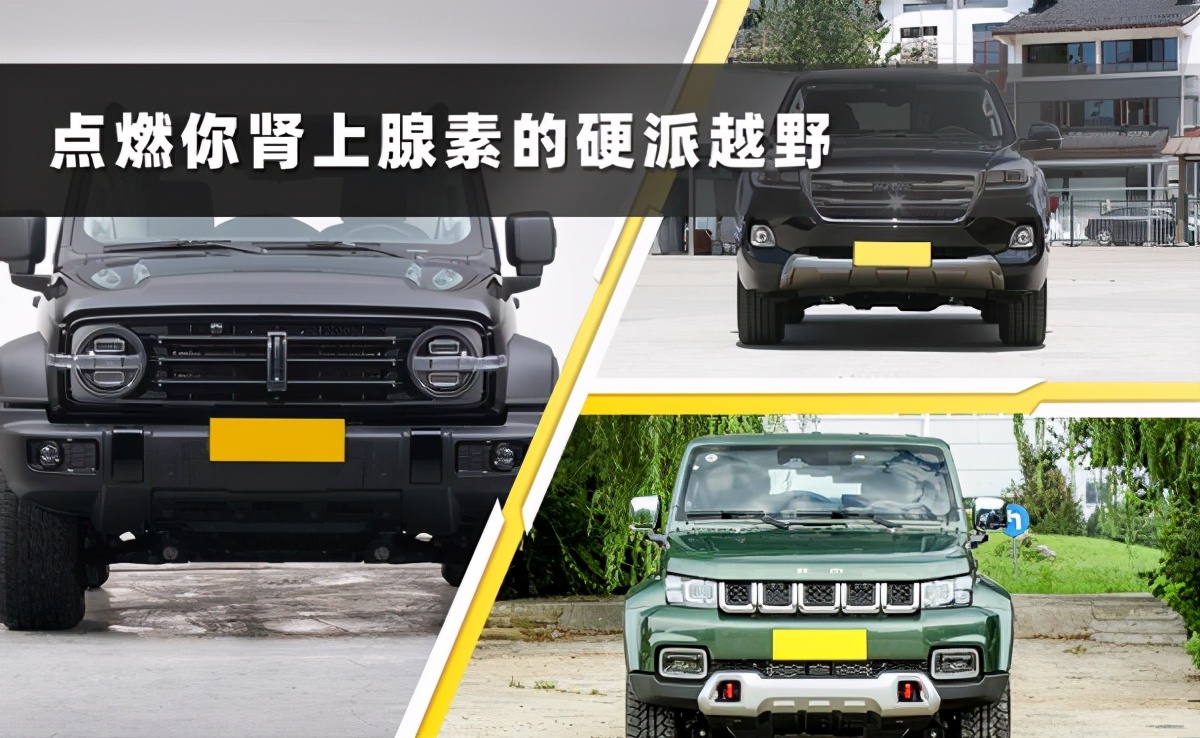 20万4驱硬派suv,20万硬派越野中型suv