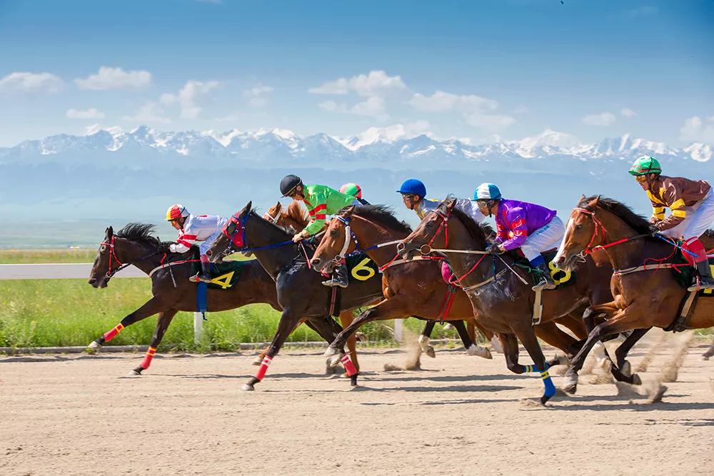 美丽伊犁简介,美丽新疆伊犁