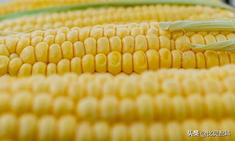 韩式芝士玉米肠,韩国玉米鳕鱼肠