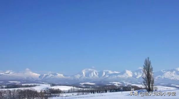 「招募」一起过圣诞~|北海道行旅，写给孩子的白色情书