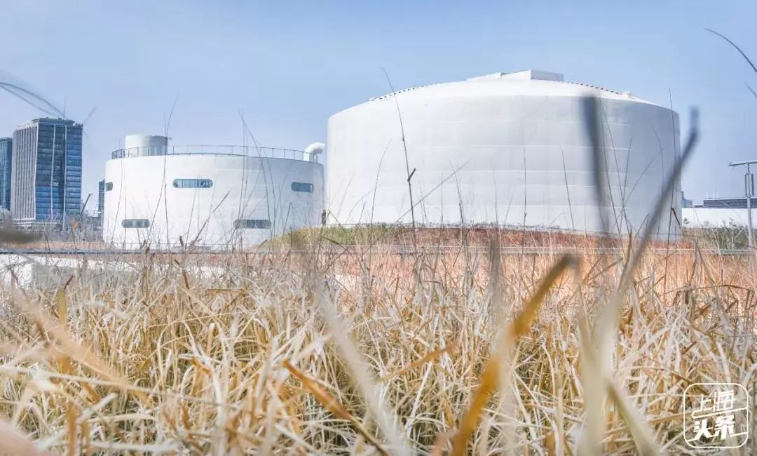 上海一日游古镇最佳路线免费景点,上海晚上十大必去免费景点