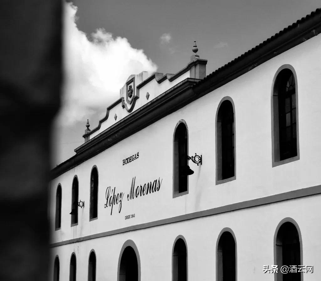 酒庄除了Château和Domaine，很多人不知道还有这些